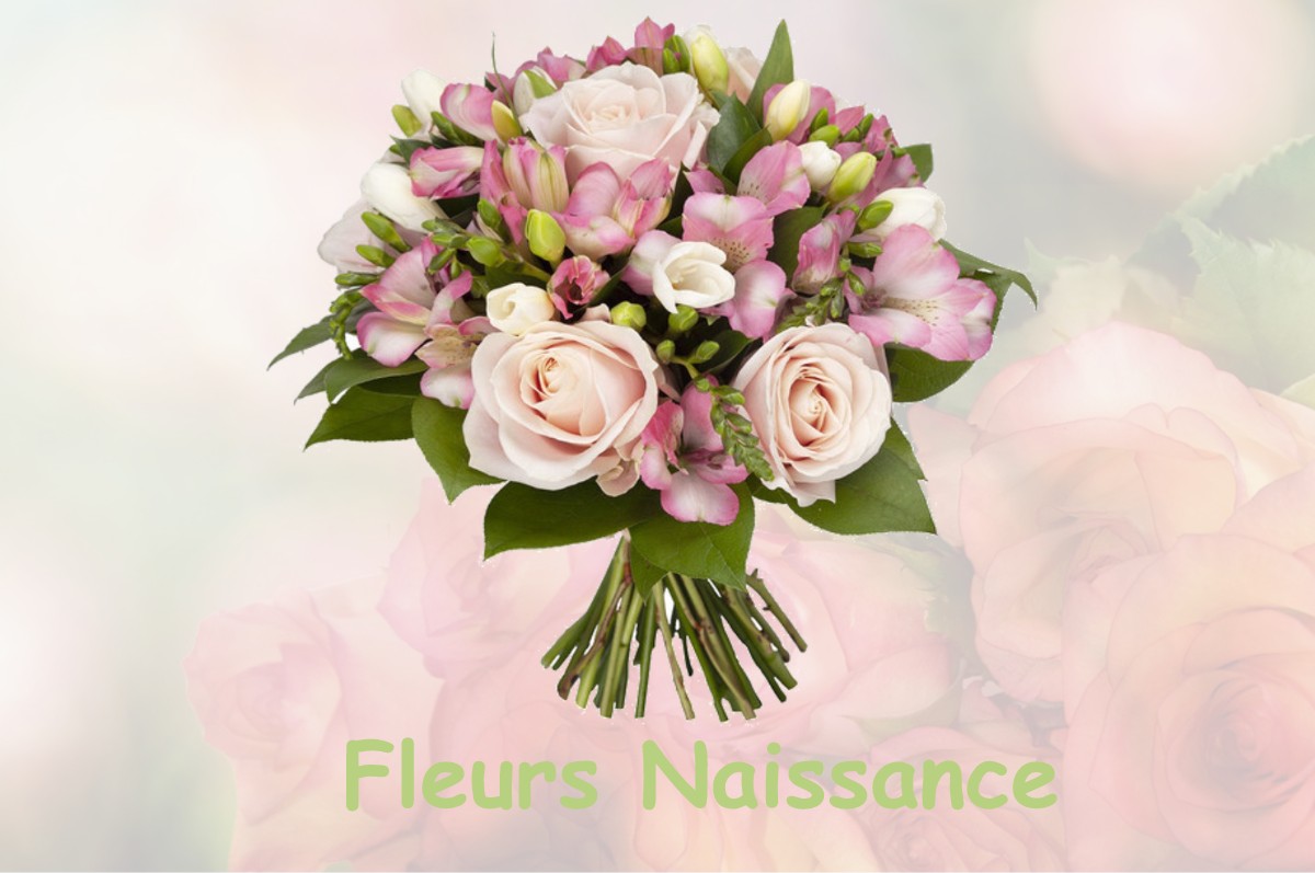 fleurs naissance DAGONVILLE