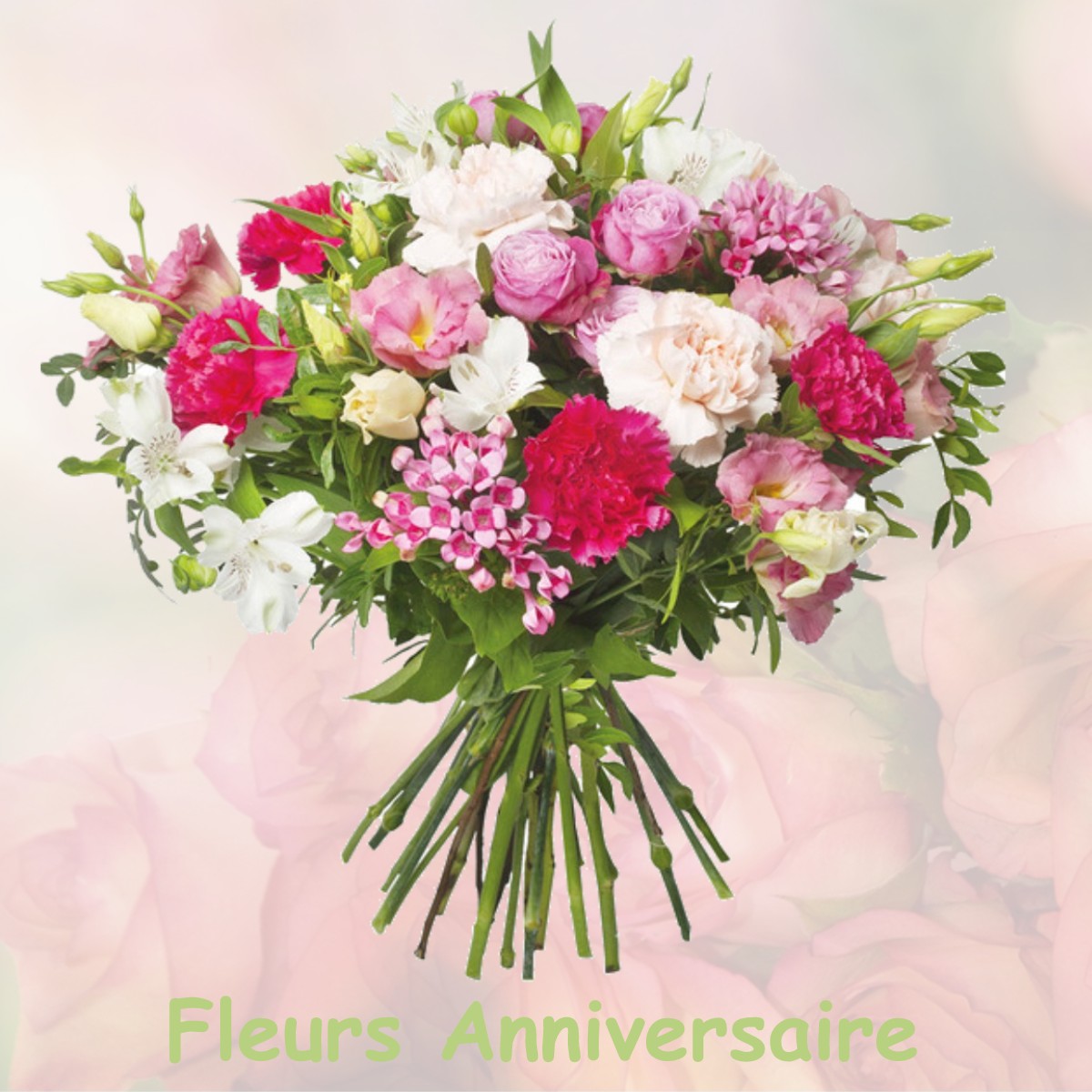 fleurs anniversaire DAGONVILLE