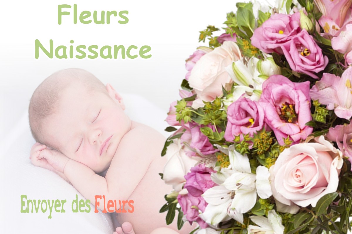 lIVRAISON FLEURS NAISSANCE à DAGONVILLE