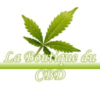 LA BOUTIQUE DU CBD DAGONVILLE 